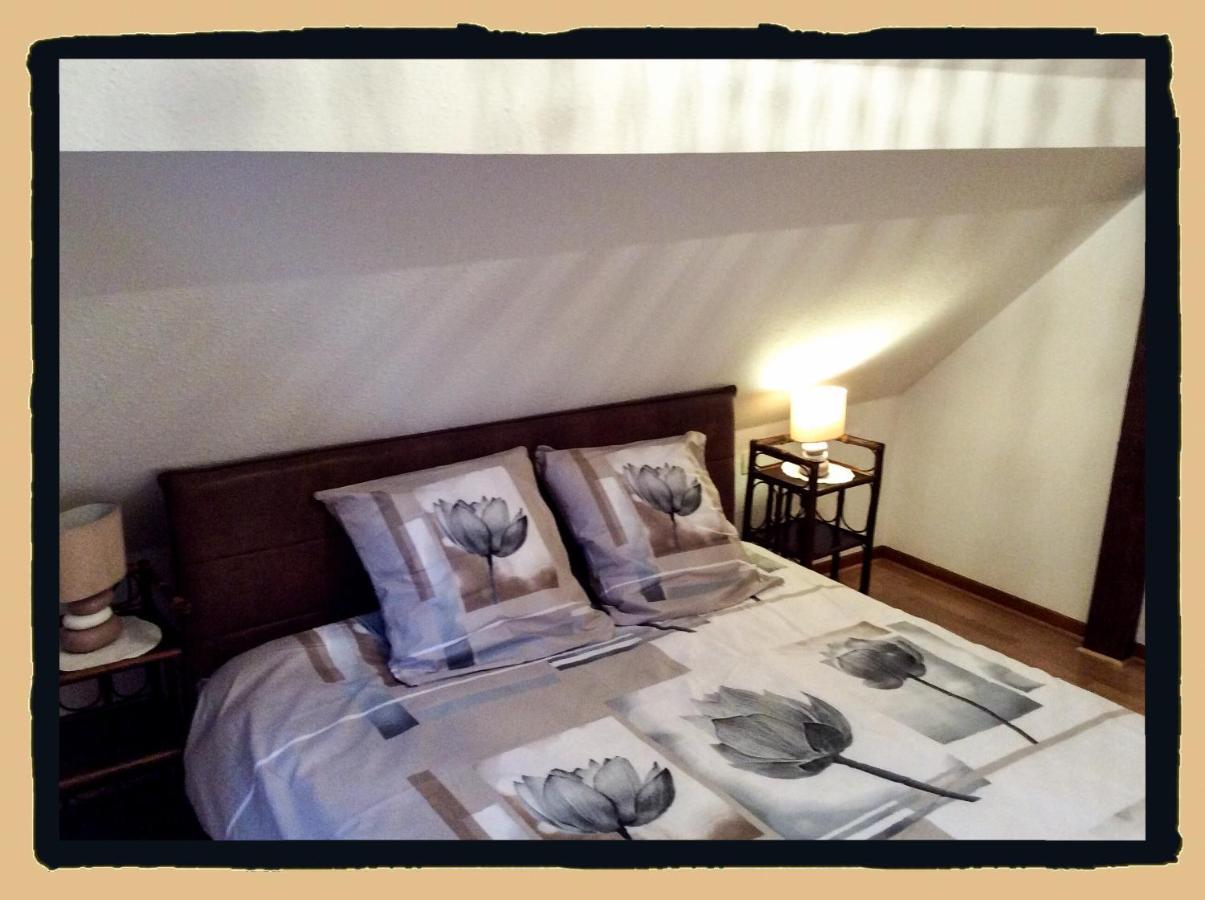 Residence Des Lentilles Schiltigheim Dış mekan fotoğraf