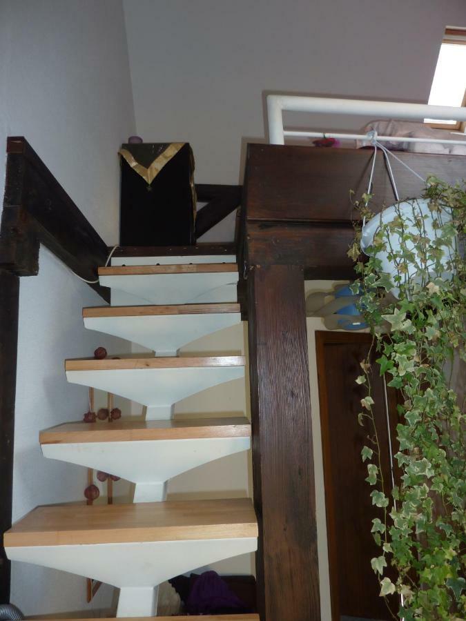 Residence Des Lentilles Schiltigheim Dış mekan fotoğraf